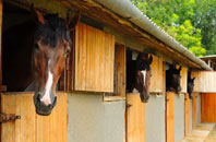 free Rascal Moor stable construction quotes